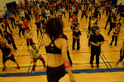 ZKo NY2015 Lily Ani01