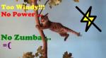 Windy Cat No Power No&nbsp;Zumba