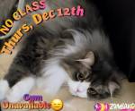 ZumbaKo – No Class Dec&nbsp;12