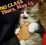 ZumbaKo – No Class May&nbsp;25