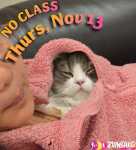 ZumbaKo – No Class Nov&nbsp;13