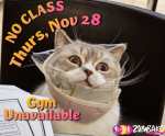 ZumbaKo – No Class Nov&nbsp;28