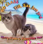 ZumbaKo – No Class till Jan&nbsp;3